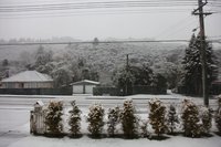 Snow at Wainuionata