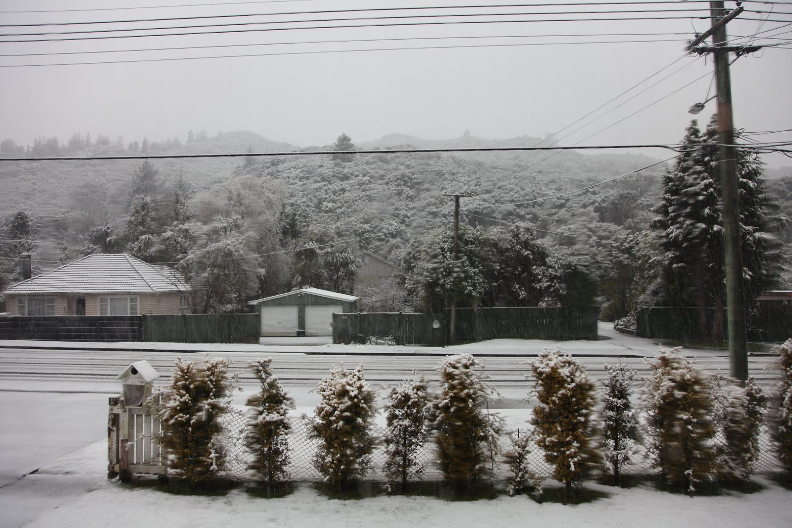 snow__WOM.jpg